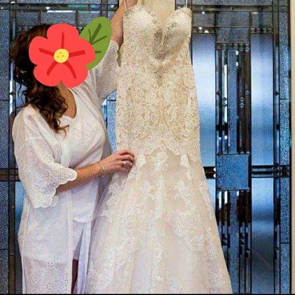 Allure Wedding gown - Picture 5 of 5